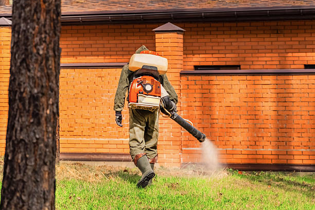 Bed Bug Clearance Verification and Documentation in Samsula-Spruce Creek